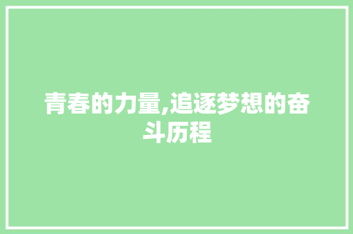 青春的力量,追逐梦想的奋斗历程