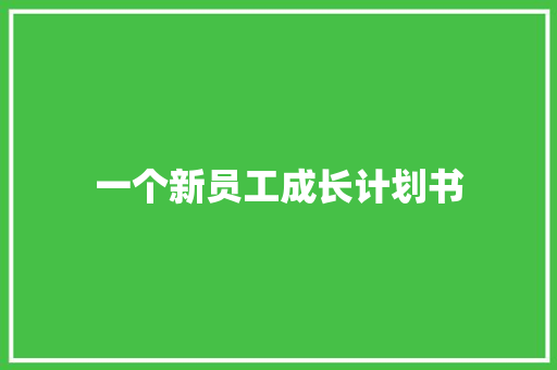 一个新员工成长计划书