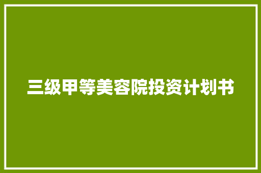 三级甲等美容院投资计划书