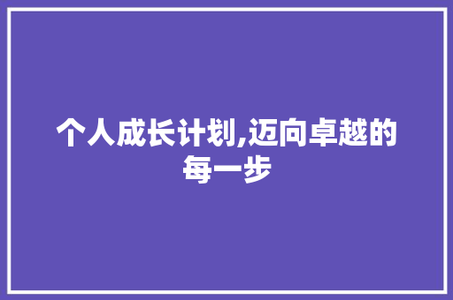 个人成长计划,迈向卓越的每一步