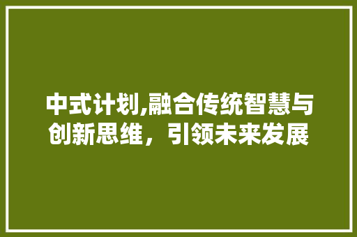 中式计划,融合传统智慧与创新思维，引领未来发展