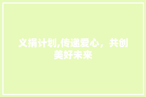 义捐计划,传递爱心，共创美好未来