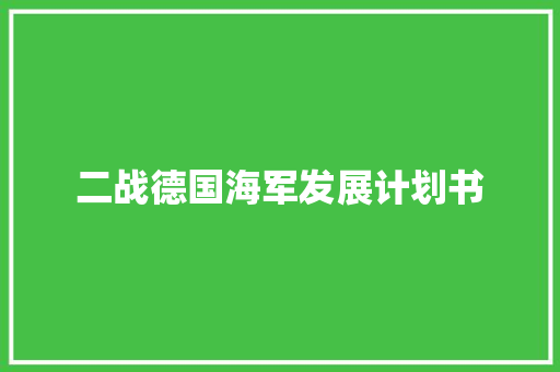 二战德国海军发展计划书