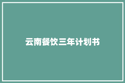 云南餐饮三年计划书