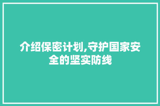 介绍保密计划,守护国家安全的坚实防线 报告写作