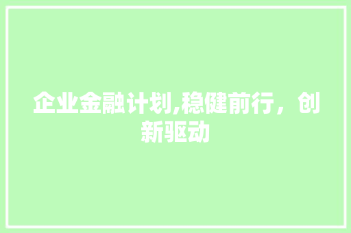 企业金融计划,稳健前行，创新驱动
