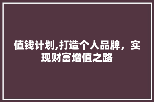 值钱计划,打造个人品牌，实现财富增值之路