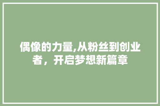 偶像的力量,从粉丝到创业者，开启梦想新篇章
