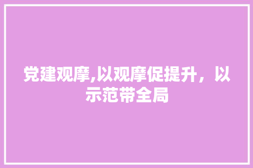 党建观摩,以观摩促提升，以示范带全局