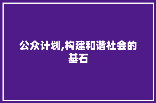 公众计划,构建和谐社会的基石