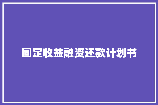 固定收益融资还款计划书 词汇积累