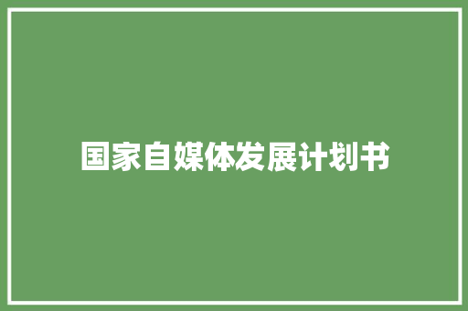国家自媒体发展计划书