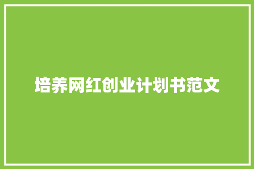 培养网红创业计划书范文