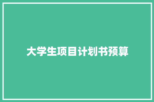 大学生项目计划书预算