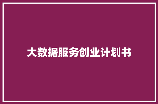 大数据服务创业计划书