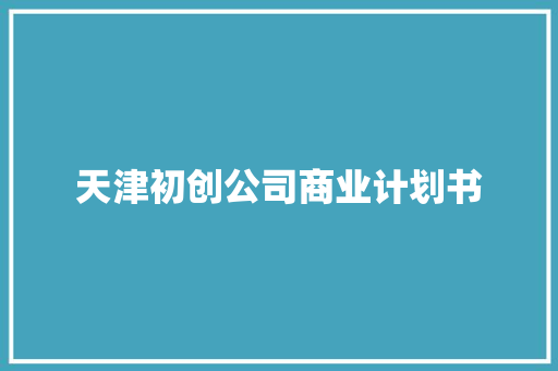 天津初创公司商业计划书