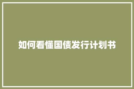如何看懂国债发行计划书