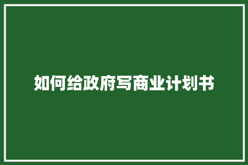 如何给政府写商业计划书
