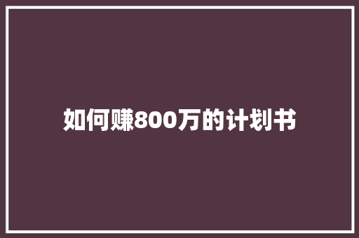 如何赚800万的计划书