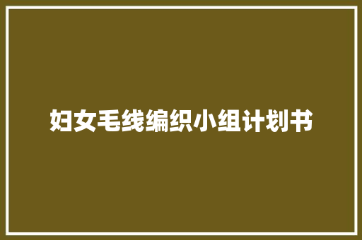 妇女毛线编织小组计划书