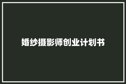 婚纱摄影师创业计划书