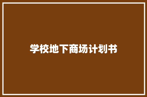 学校地下商场计划书