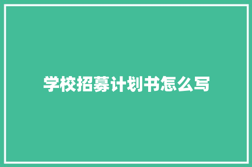 学校招募计划书怎么写