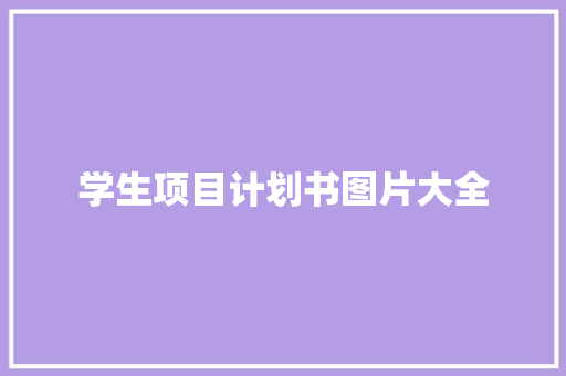 学生项目计划书图片大全