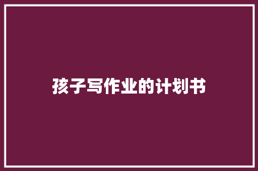 孩子写作业的计划书