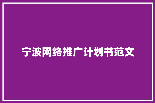 宁波网络推广计划书范文 报告写作