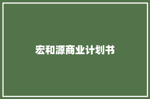 宏和源商业计划书