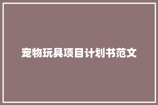 宠物玩具项目计划书范文