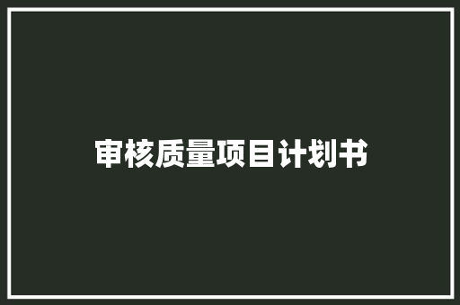 审核质量项目计划书