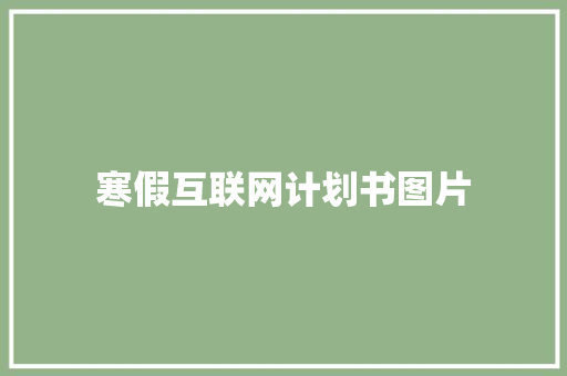 寒假互联网计划书图片