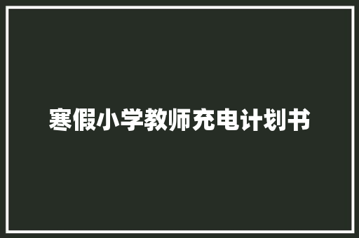 寒假小学教师充电计划书