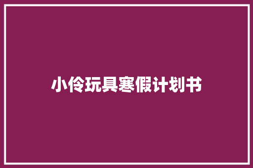 小伶玩具寒假计划书