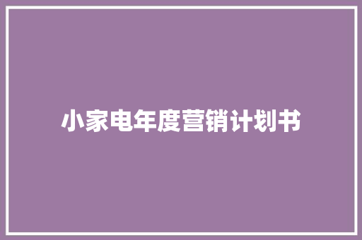 小家电年度营销计划书