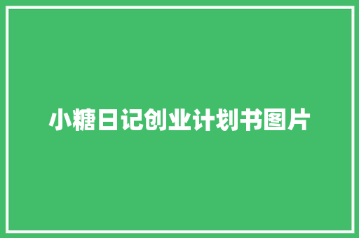 小糖日记创业计划书图片