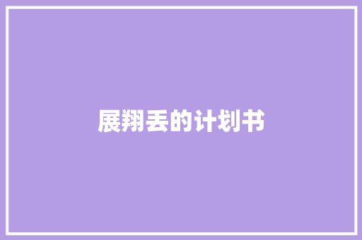 展翔丢的计划书