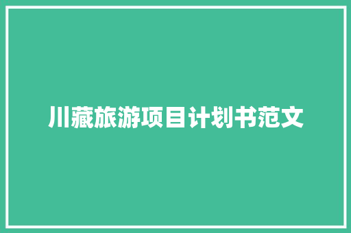 川藏旅游项目计划书范文