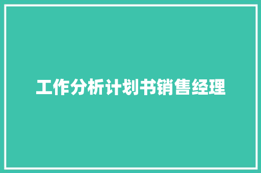 工作分析计划书销售经理
