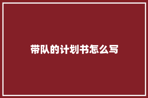带队的计划书怎么写