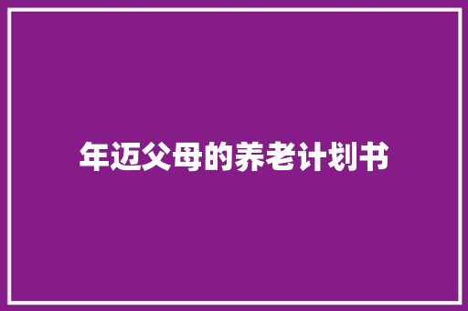 年迈父母的养老计划书