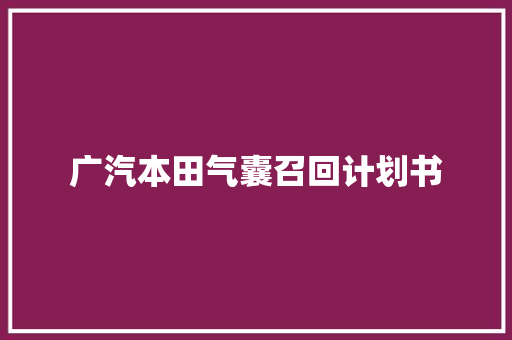 广汽本田气囊召回计划书