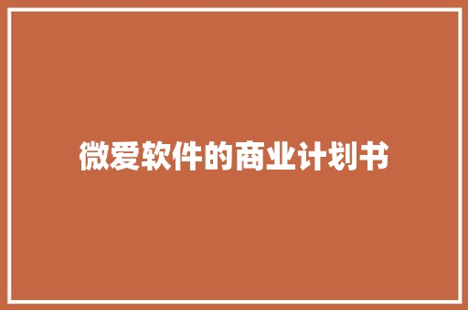 微爱软件的商业计划书