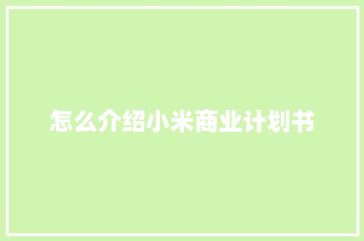 怎么介绍小米商业计划书