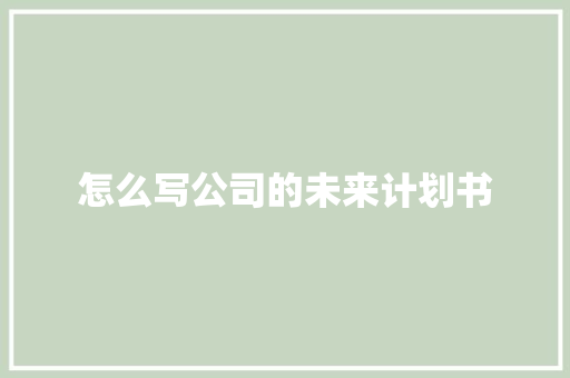 怎么写公司的未来计划书