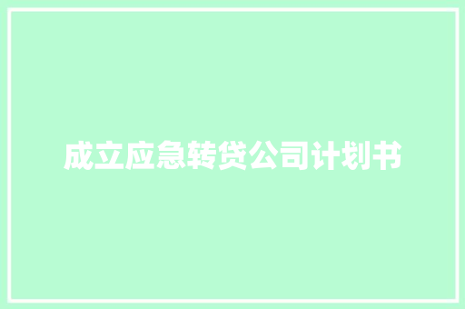 成立应急转贷公司计划书