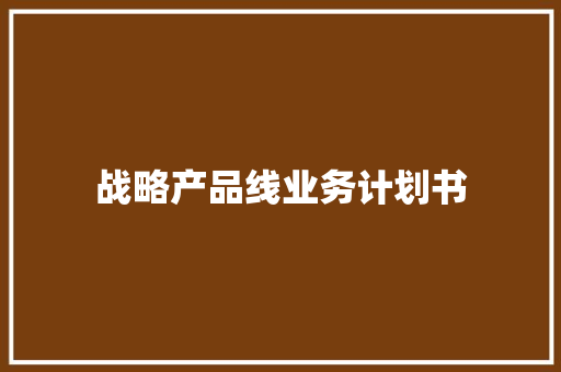 战略产品线业务计划书