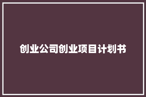 创业公司创业项目计划书